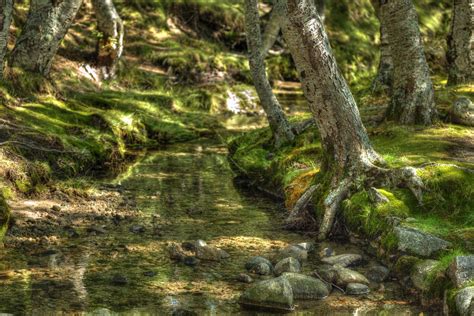 Serra da Estrela Covão D Ametade César Garcia Flickr