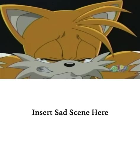 Tails' Sad Reaction Meme by NicholasVinhChauLe on DeviantArt