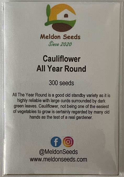 Cauliflower All Year Round Seeds X 300 Dwarf All Season Vegetable