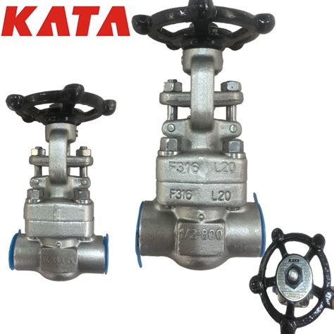 Kata Api602 Forged Steel Gate Valve 12′ ′ 800lb F316 China Api602