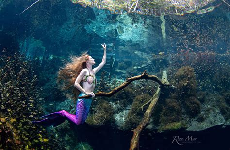 The Lure of Realistic Mermaid Photos: A Captivating Phenomenon