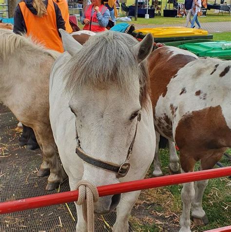 Explore the Mandurah Markets: A Trove of Local Delights