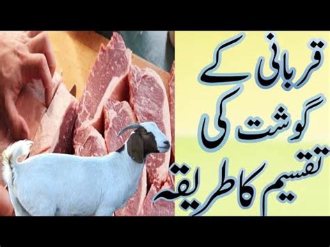 Qurbani Kai Ghost Ki Taqseem Ka Tareeqa By Molana Ibrahim Muhammdi