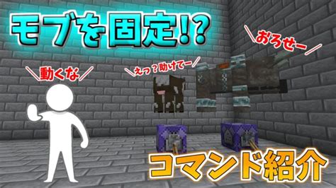 【コマンド紹介・マインクラフト】モブを固定 Minecraft Summary マイクラ動画