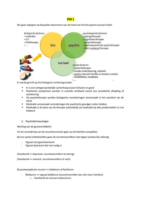 PIN 1 Samenvatting SMV Notities Van De Les PIN1 Blok GGZ