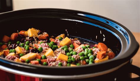 11 Best Homemade Dog Food Recipes - PlayBarkRun