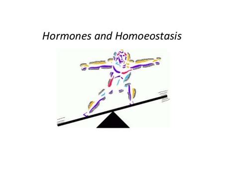 6 6 Homeostasis And Hormones