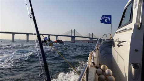 渤海灣海釣入門級裝備探討（一）近海及港灣船釣 每日頭條