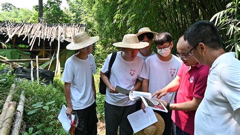 用专业知识赋能乡村风貌重建 这支“建筑人”三下乡团队有心得