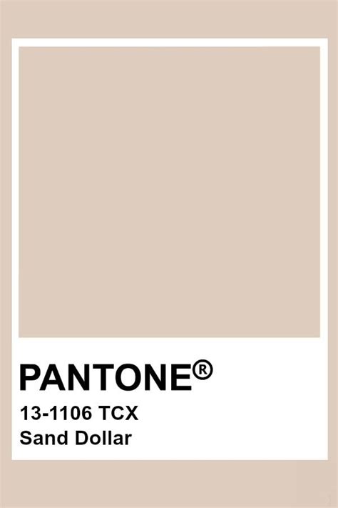 Pantone S Sand Dollar Color Is Shown With The Words Tcx