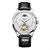 Automatic Mechanical Watch Switzerland Nesun Tourbillon Men S Watches