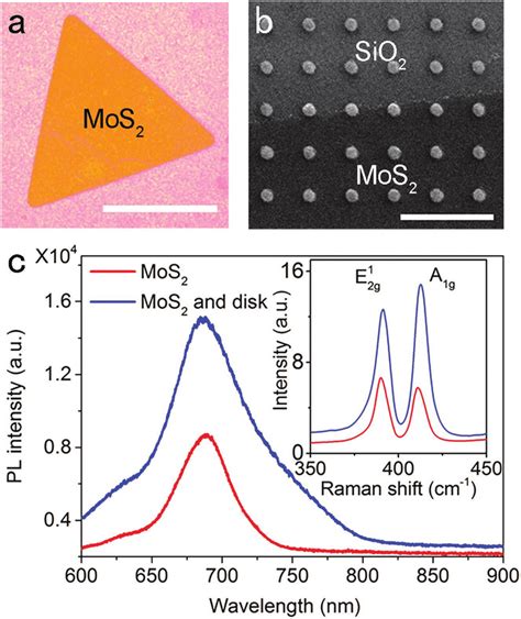 Characterization Of Mos Monolayers And Mos Ag Disk Hybrid