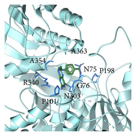 The Docking Poses Of Ligands A The Crystal Structure Of