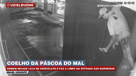 Coelho Da P Scoa Do Mal Homem Invade Loja De Chocolate E Faz A Limpa