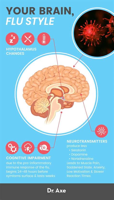 Flu Brain Heres What The Virus Does To Your Brain Dr Axe