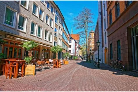 University of Freiburg | Courses, admission, and more