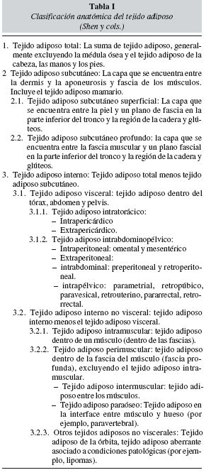 Distribuci N Regional De La Grasa Corporal Uso De T Cnicas De Imagen