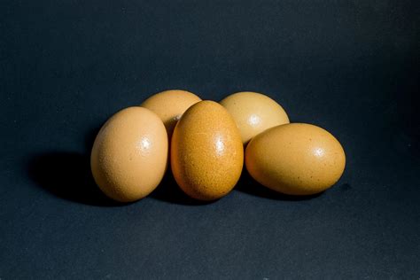 a group of egg 6592417 Stock Photo at Vecteezy