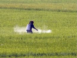 After Urea Price Hike Farmers To Bear Extra Rs B Cost