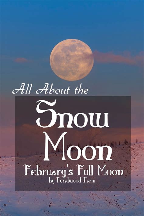 About the Snow Moon - February's Full Moon | February full moon, Full moon, Moon meaning