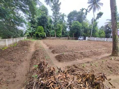 Residential Land Plot For Sale In Aluva Kochi Sq Yard