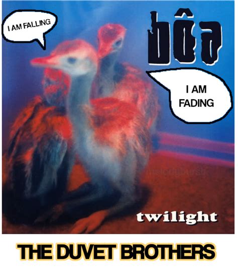 The Duvet Brothers The IPod Brothers The Fuck You Brothers Sniff And Whimper Know Your Meme