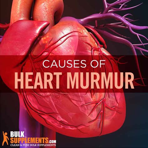 Heart Murmur: Causes, Characteristics & Treatment