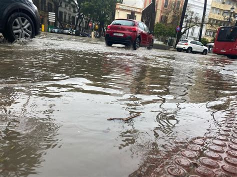 La borrasca deja ya 75 litros en Jerez árboles caídos y anegaciones de