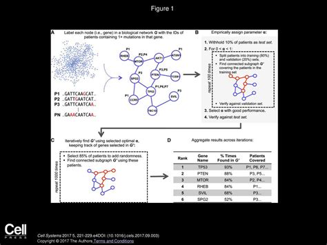 Network Based Coverage Of Mutational Profiles Reveals Cancer Genes