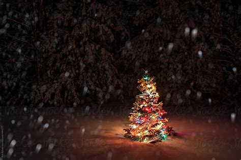 «Snow Falling On Christmas Tree» del colaborador de Stocksy «Rob Sylvan ...