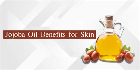 Jojoba Oil Benefits For Skin Your One Stop Guide To A Healthier Happ Adplstore