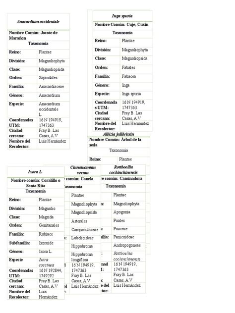 Nombres Cientificos Plantas Horticultura Y Jardinería