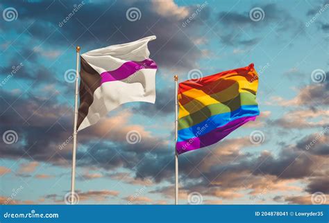 Lgbt Gay Flags Icon Set Isolated On White Background Transgender Flag