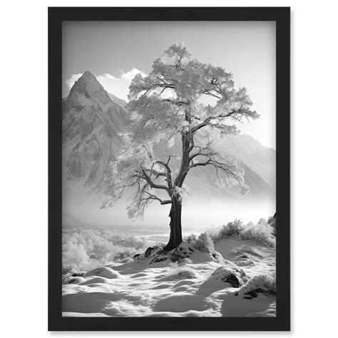 Frozen Tree In Snowy Mountain Landscape Bright Black And White