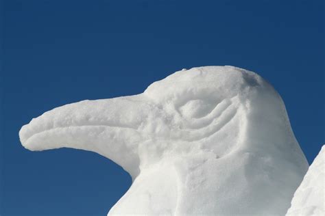 Snow Sculpture Photos | ThriftyFun