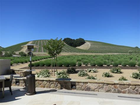 Niner Wine Estates 2400 Highway 46 West Paso Robles California