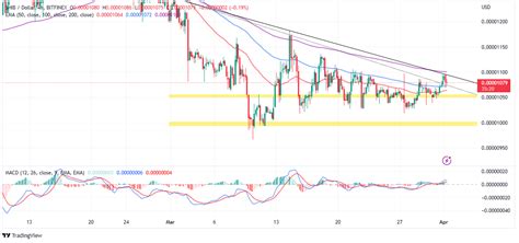 Shiba Inu Price Prediction As Testnet Puppynet Sees Huge Spike In