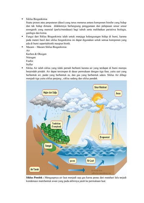 Guru Berbagi Rencana Pembelajaran Siklus Air Hot Sex Picture