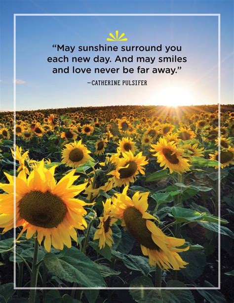 44 Greatest Sunshine Quotes Everyday Inspiration About Sunshine