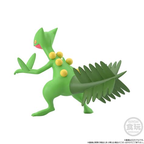 POKEMON SCALE WORLD HOENN SCEPTILE W O GUM 寶可夢 Pokémon 公仔玩具郵購