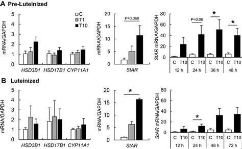 Effect Of TBT Exposure On MRNA Expression In Pre Luteinized And