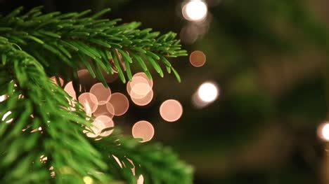 Christmas Tree Close Up Free Stock Video Footage Download HD Clips