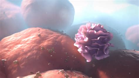 Adaptive Immune System Animation | XVIVO