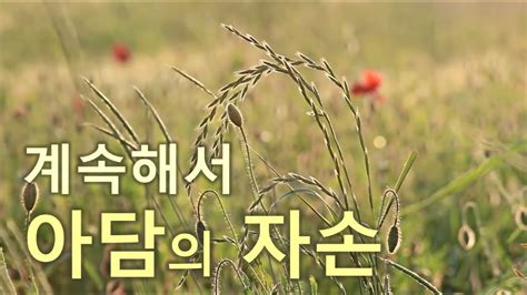 계속해서 아담의 자손 성경 창세기 5장 12 ~ 17절 성경에 나오는 아담의 자손은 하나님 섭리의 맥을 이어 주는