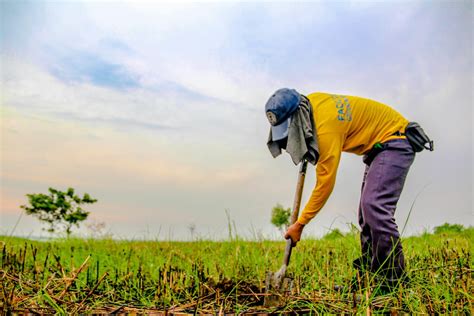 Полоть Фото – Telegraph