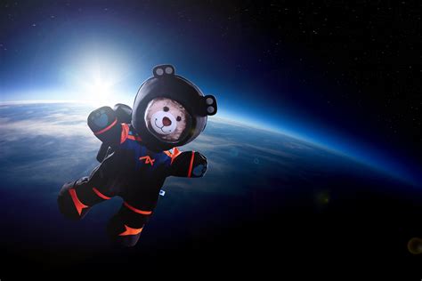 Astronaut Bear