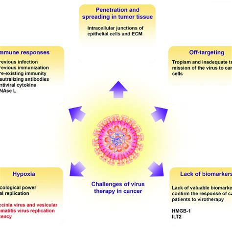 Challenges Of Oncolytic Virotherapy In Cancer Illustrate The