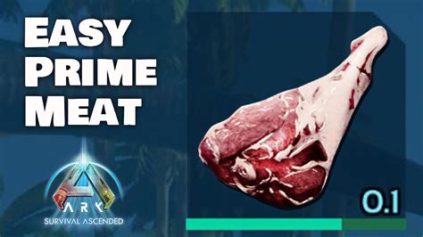 How To Get Easy Raw Prime Meat In Ark Survival Ascended Youtube