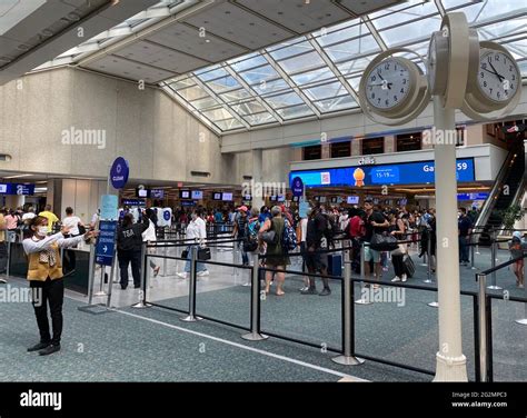tsa security check point  res stock photography  images alamy