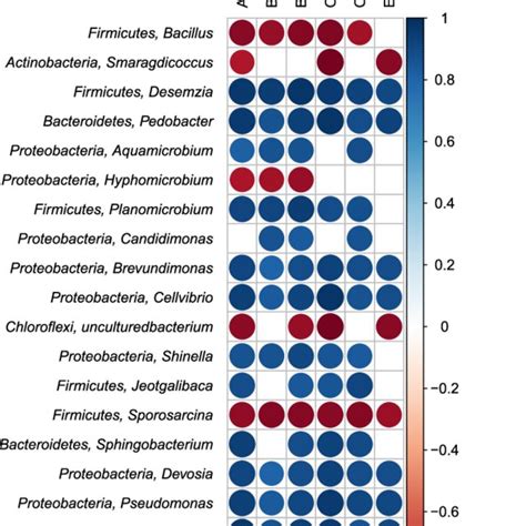 Spearman S Rank Correlation Analysis Between Relative Abundance Of